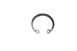 PISTON PIM SEGMANI (21X25X1)