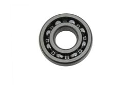 RULMAN 6307