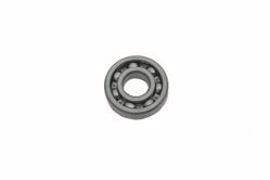 RULMAN 6305