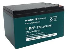 AKU 12V 12A (150X100X98/3.88KG)