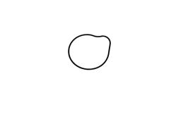 O-RING 63X2