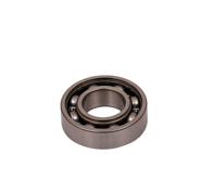 RULMAN 6003Z